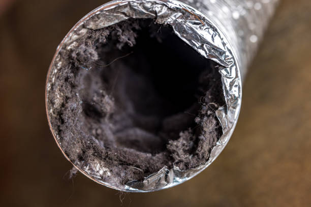 Best Affordable HVAC Duct Cleaning  in Bedford, IN